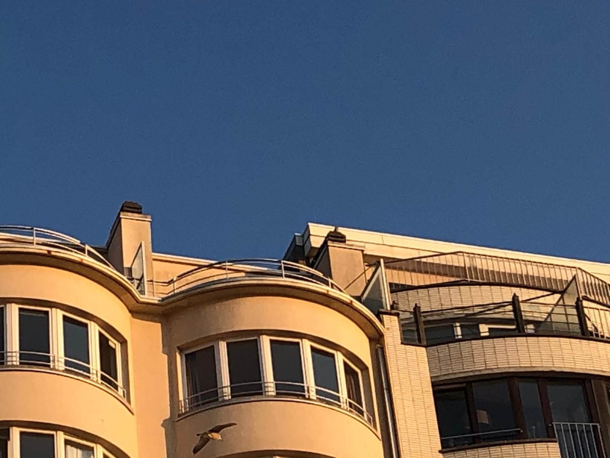 Апартаменты El Mirador Penthouse Paris Остенде Экстерьер фото